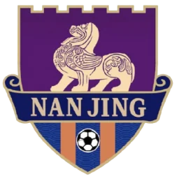 南京队